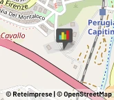 Imprese Edili,06127Perugia