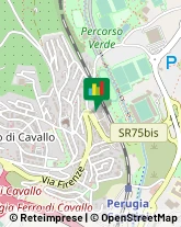 Via Firenze, 55,06127Perugia