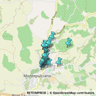 Mappa Via della Spinella, 53045 Montepulciano SI, Italia (0.642)