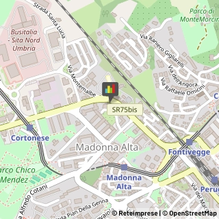 Radiologia, Radioterapia ed Ecografia - Medici Specialisti,06127Perugia