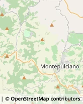 Comuni e Servizi Comunali Montepulciano,53045Siena