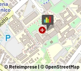 Allergologia - Medici Specialisti,41125Modena