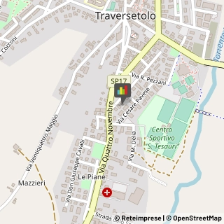 Palestre e Centri Fitness,43029Parma