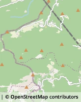 Autotrasporti Ronco Scrivia,16019Genova