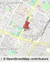 Str. Scaglia Est, 134,41126Modena