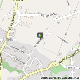 Aziende Agricole Zafferana Etnea,95019Catania