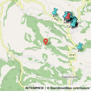 Mappa Località Coccari, 89819 Monterosso Calabro VV, Italia (1.67692)