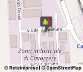 Litografie Cavarzere,30014Venezia