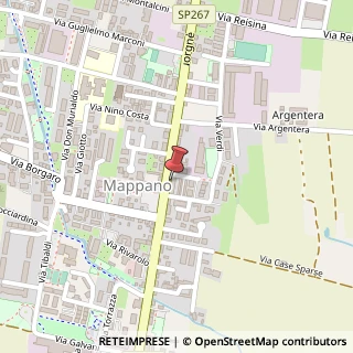 Mappa Strada Cuorgn?, 161, 10072 Caselle Torinese, Torino (Piemonte)