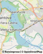 Vini e Spumanti - Produzione e Ingrosso Mantova,46100Mantova