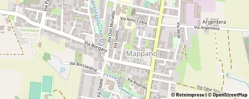 Mappa Caselle Torinese