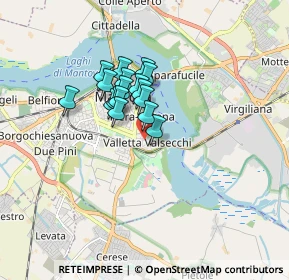 Mappa Via Pietro Torelli, 46100 Mantova MN, Italia (1.13118)