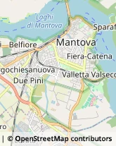 Scuole Pubbliche Mantova,46100Mantova