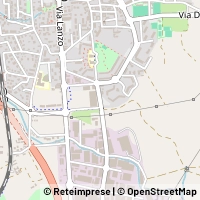 Map Borgaro Torinese