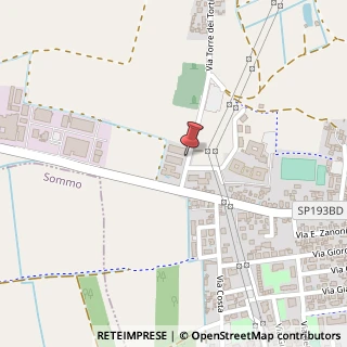 Mappa Via Torre de Torti, 3, 27051 Cava Manara, Pavia (Lombardia)