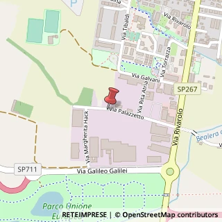 Mappa Via Palazzetto, 11, 10071 Borgaro Torinese, Torino (Piemonte)