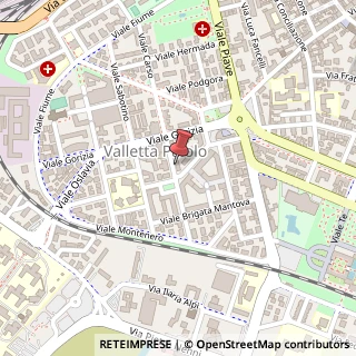 Mappa Viale Luigi Vaschi, 5, 46100 Mantova, Mantova (Lombardia)