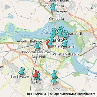 Mappa Viale dei Partigiani, 46100 Mantova MN, Italia (1.95071)