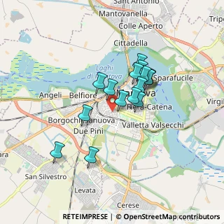 Mappa Viale dei Partigiani, 46100 Mantova MN, Italia (1.3325)