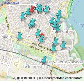 Mappa Via Vittorino da Feltre, 46100 Mantova MN, Italia (0.4685)