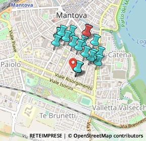 Mappa Via Vittorino da Feltre, 46100 Mantova MN, Italia (0.2985)