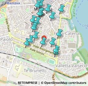 Mappa Via Vittorino da Feltre, 46100 Mantova MN, Italia (0.4485)