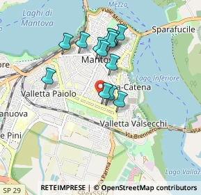 Mappa Via Vittorino da Feltre, 46100 Mantova MN, Italia (0.72923)