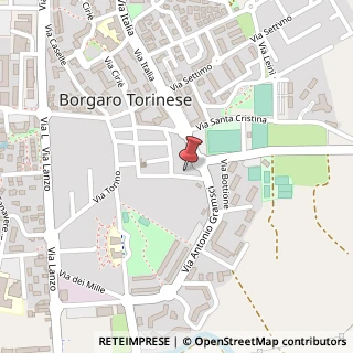 Mappa Via Generale Perotti, 13, 10071 Borgaro Torinese, Torino (Piemonte)