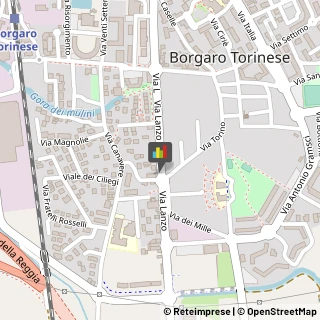 Borse - Dettaglio Borgaro Torinese,10071Torino