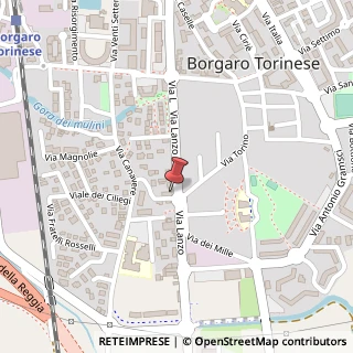 Mappa Viale dei Ciliegi, 4, 10071 Borgaro Torinese, Torino (Piemonte)