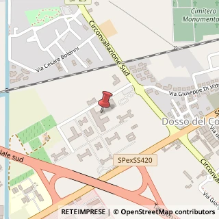 Mappa Strada Circonvallazione Sud, 21, 46100 Mantova, Mantova (Lombardia)