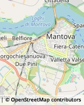 Associazioni di Volontariato e di Solidarietà Mantova,46100Mantova