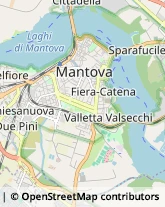 Supermercati e Grandi magazzini Mantova,46100Mantova