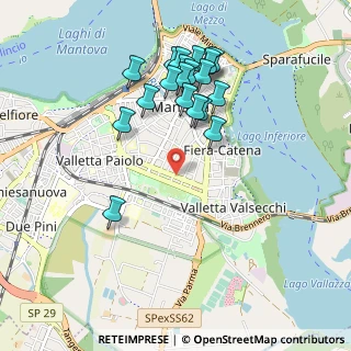 Mappa Via Secchia, 46100 Mantova MN, Italia (0.962)