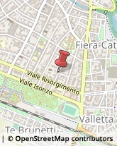 Via Valsesia, 59,46100Mantova