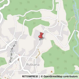 Mappa Via Borgo Pracchio, 17, 10040 Rubiana, Torino (Piemonte)