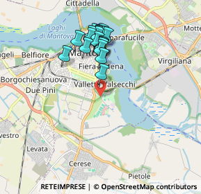 Mappa Viale Learco Guerra, 46100 Mantova MN, Italia (1.7095)