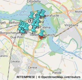 Mappa Viale Learco Guerra, 46100 Mantova MN, Italia (1.68063)