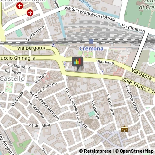 Fisiokinesiterapia - Medici Specialisti,26100Cremona