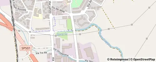 Mappa Borgaro Torinese