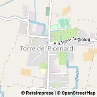 Map Torre de' Picenardi