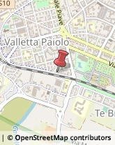 Viale Gino Vesci, 5,46100Mantova