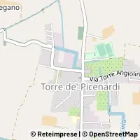 Kort Torre de' Picenardi