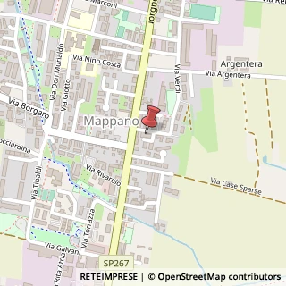 Mappa Via Verdi, 4, 10072 Caselle Torinese, Torino (Piemonte)