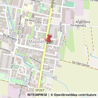 Mappa Via Verdi, 4, 10072 Caselle Torinese, Torino (Piemonte)