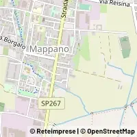 Karte Caselle Torinese