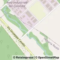 Kort Venaria Reale