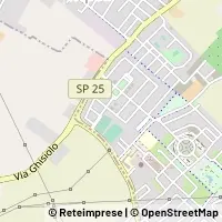 Map San Giorgio Bigarello