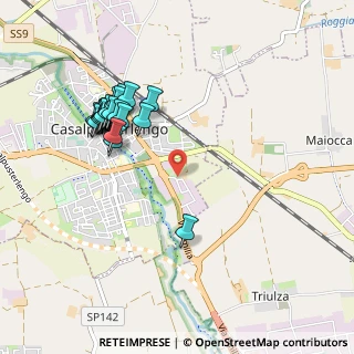 Mappa Via Salvador Allende, 26841 Casalpusterlengo LO, Italia (0.991)