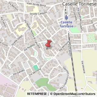 Mappa Via Madre Teresa di Calcutta, 35, 10072 Caselle Torinese, Torino (Piemonte)
